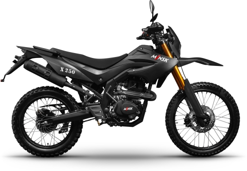 Мотоцикл MINSK X 250